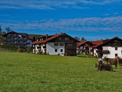 Apartment Haus Silberdistel Ferienwohnung - Features photo 37