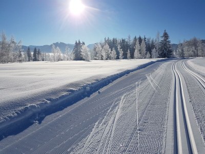 Apartment Kategorie Fewo - Outdoor photo 6