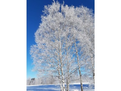 Apartment Kategorie Fewo - Outdoor photo 7