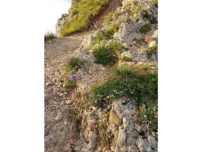 Apartment Kategorie Fewo - Outdoor photo 9