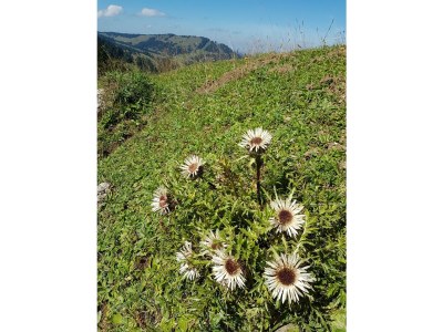 Apartment Kategorie Fewo - Outdoor photo 10