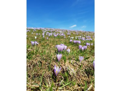 Apartment Kategorie Fewo - Outdoor photo 12