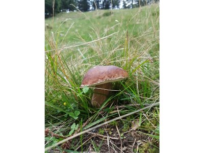 Apartment Kategorie Fewo - Outdoor photo 22