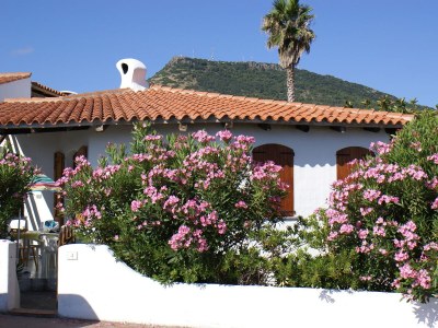 Holiday house Sa Fiorida type Marc - Outdoor photo 5