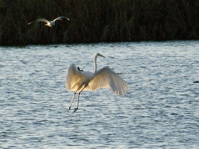 Holiday house Sa Fiorida type Marc - Environment photo 18