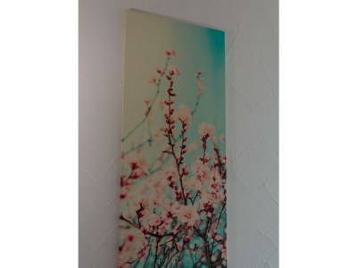 Apartment Ferienwohnung Riesling - Features photo 20