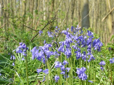 Holiday house Gerritslanderdijkje - Environment photo 23