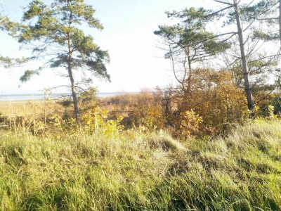 Holiday house 6 person holiday home in Hadsund - Outdoor photo 16