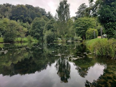Holiday house Beachside Bliss in Blokhus-By Traum - Outdoor photo 9