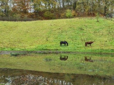 Holiday house Beachside Bliss in Blokhus-By Traum - Outdoor photo 12