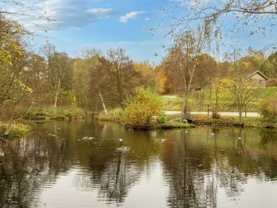 Holiday house Beachside Bliss in Blokhus-By Traum - Outdoor photo 17