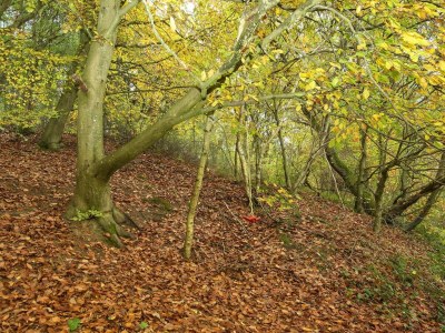 Holiday house Beachside Bliss in Blokhus-By Traum - Outdoor photo 29