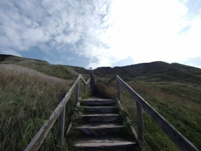Holiday house 14 Personen Ferienhaus in Harboøre - Outdoor photo 36