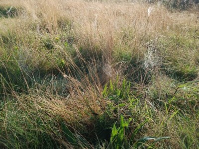 Holiday house 5 Personen Ferienhaus in Lemvig - Outdoor photo 23