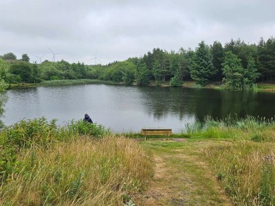 Holiday house 6 Personen Ferienhaus in Ringkøbing - Outdoor photo 13