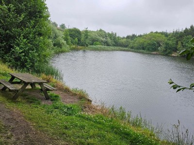 Holiday house 6 Personen Ferienhaus in Ringkøbing - Outdoor photo 15