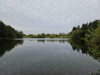 Holiday house 6 Personen Ferienhaus in Ringkøbing - Outdoor photo 17