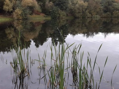 Holiday house 6 Personen Ferienhaus in Ringkøbing - Outdoor photo 19