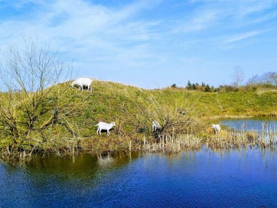 Holiday house 6 Personen Ferienhaus in Ringkøbing - Outdoor photo 27