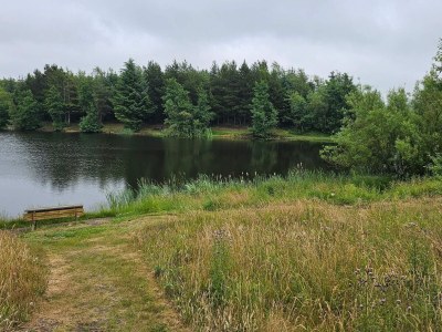 Holiday house 6 Personen Ferienhaus in Ringkøbing - Outdoor photo 28