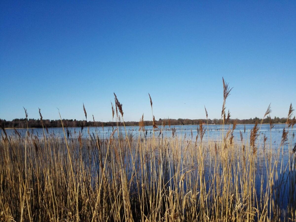 Holiday house Ruhige Hutte in der Nahe des Kvie-Sees-By Traum - Outdoor photo 3