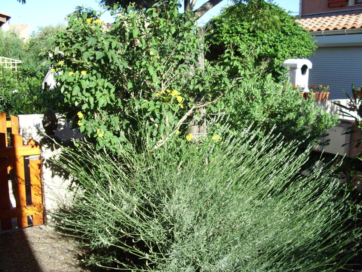 Holiday house La Lavande - Outdoor photo 3