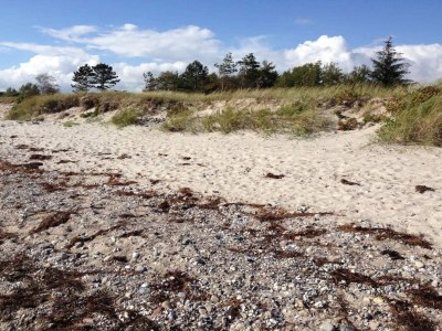 Holiday house 8 person holiday home in Sydals - Outdoor photo 18