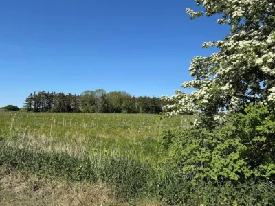 Holiday house 8 person holiday home in Sydals - Outdoor photo 19