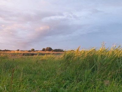 Holiday house 8 person holiday home in Sydals - Outdoor photo 36