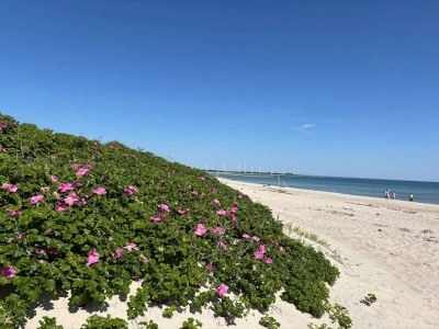 Holiday house 8 person holiday home in Sydals - Outdoor photo 57
