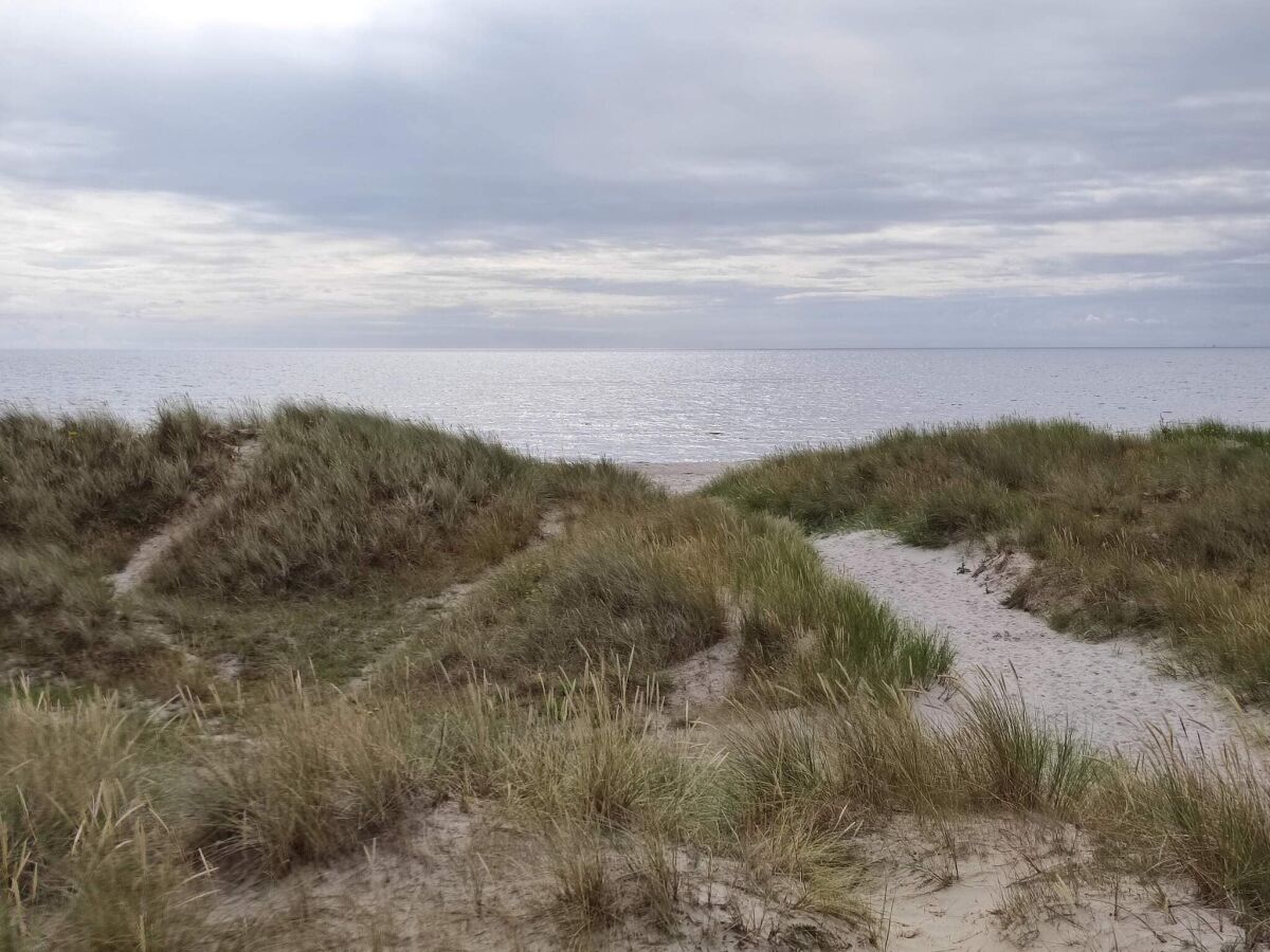 Holiday house 5 person holiday home in Ålbæk - Outdoor photo 5