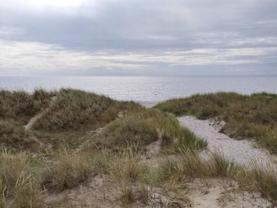 Holiday house 5 person holiday home in Ålbæk - Outdoor photo 5