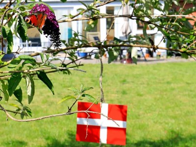 Holiday house 5 person holiday home in Ålbæk - Outdoor photo 7