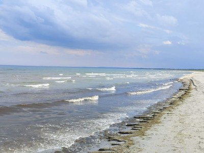 Holiday house 5 person holiday home in Ålbæk - Outdoor photo 9