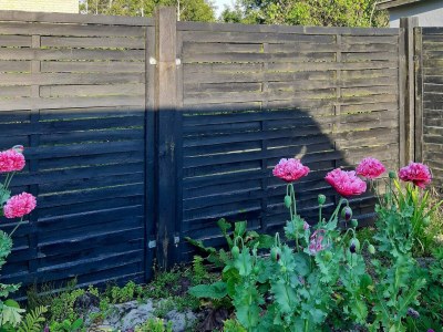 Holiday house 5 person holiday home in Ålbæk - Outdoor photo 23