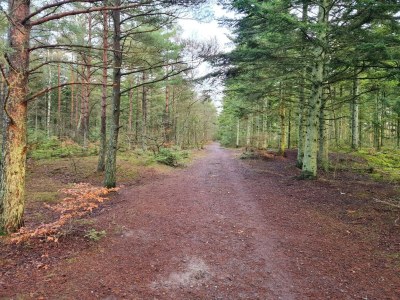 Holiday house 5 person holiday home in Ålbæk - Outdoor photo 27