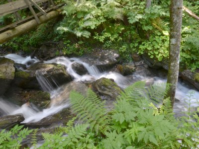 Holiday house - the Waterhouse - Environment photo 18