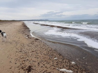 Apartment 6 person holiday home in Brovst - Outdoor photo 45