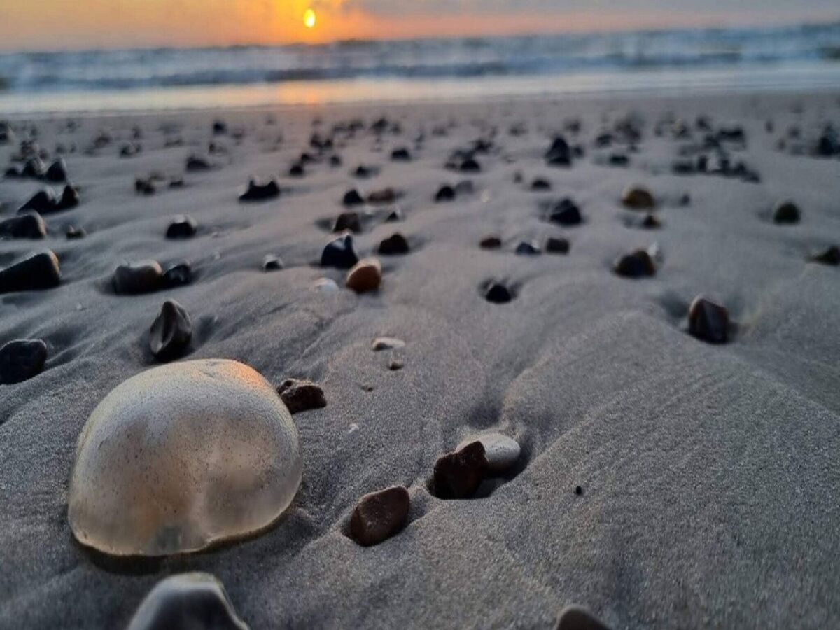 Apartment 6 person holiday home in Brovst - Outdoor photo 3