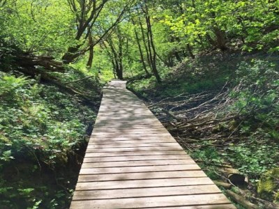 Apartment 6 person holiday home in Brovst - Outdoor photo 14