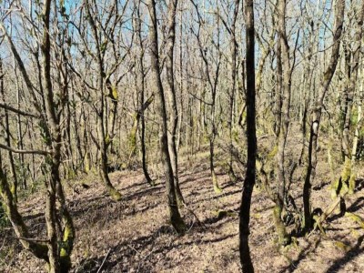 Apartment 6 person holiday home in Brovst - Outdoor photo 17