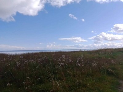 Holiday house 10 person holiday home in Hadsund - Outdoor photo 12