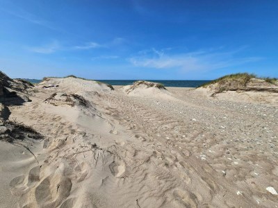 Holiday house 6 Personen Ferienhaus in Thisted - Outdoor photo 17