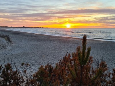 Holiday house 6 Personen Ferienhaus in Thisted - Outdoor photo 19
