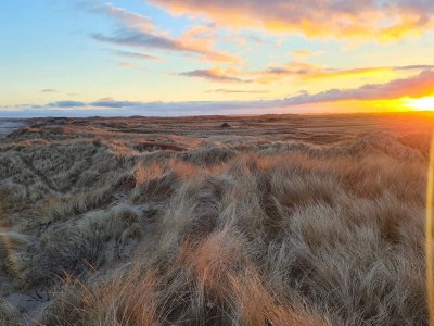 Holiday house 6 Personen Ferienhaus in Thisted - Outdoor photo 28