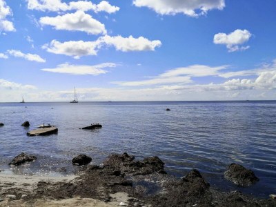 Apartment 4 Personen Ferienhaus in Borre - Outdoor photo 30