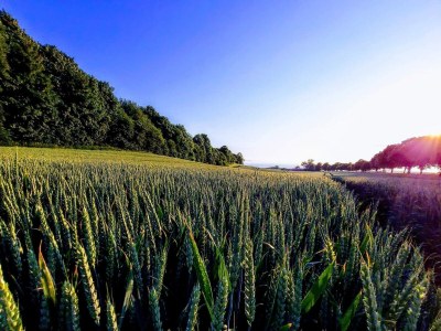 Apartment 4 Personen Ferienhaus in Borre - Outdoor photo 32