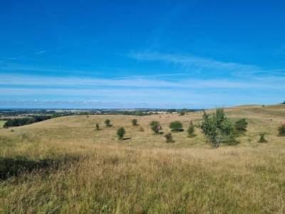 Apartment 4 Personen Ferienhaus in Borre - Outdoor photo 37