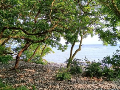 Apartment 4 Personen Ferienhaus in Borre - Outdoor photo 39