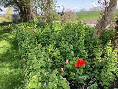 Holiday house 6 Personen Ferienhaus in Ansager - Outdoor photo 10